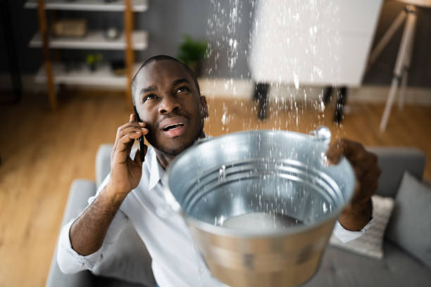 Best Water Damage Insurance Claim Assistance in Henderson, NC